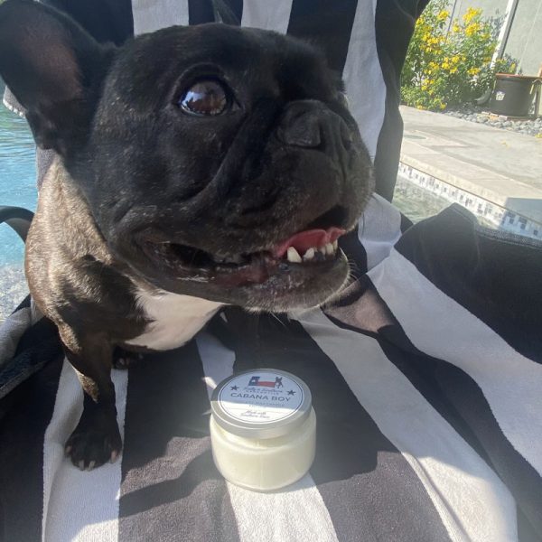 Cabana Boy