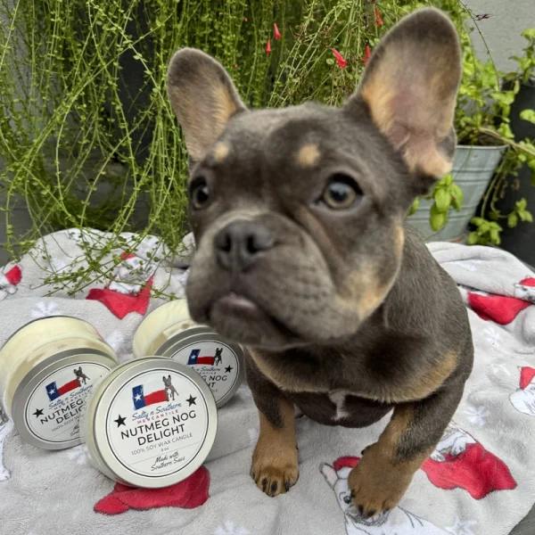 Nutmeg Nog Delight